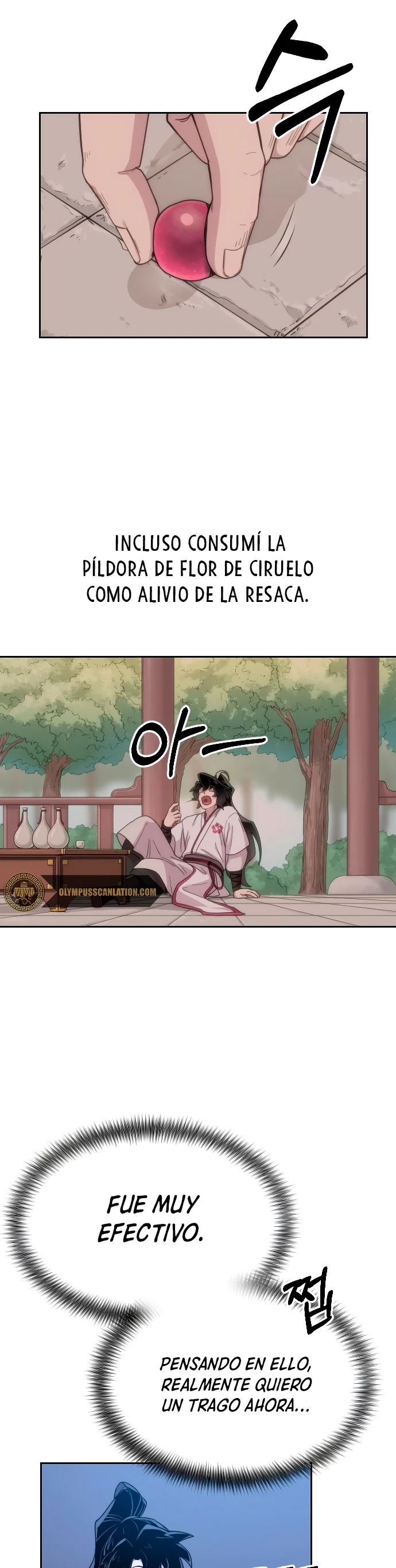 Página 31 de 52 — Capítulo 15